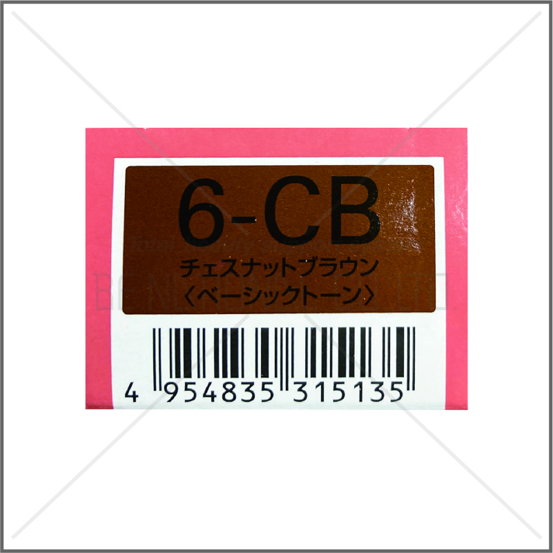 オルディーブ 6-CB