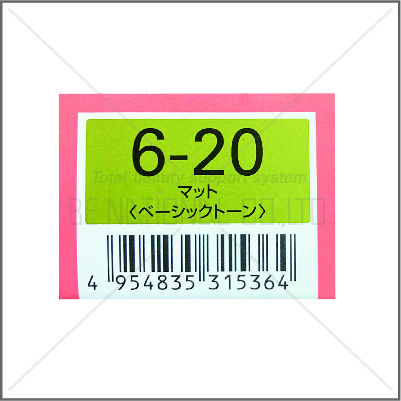 オルディーブ 6-20