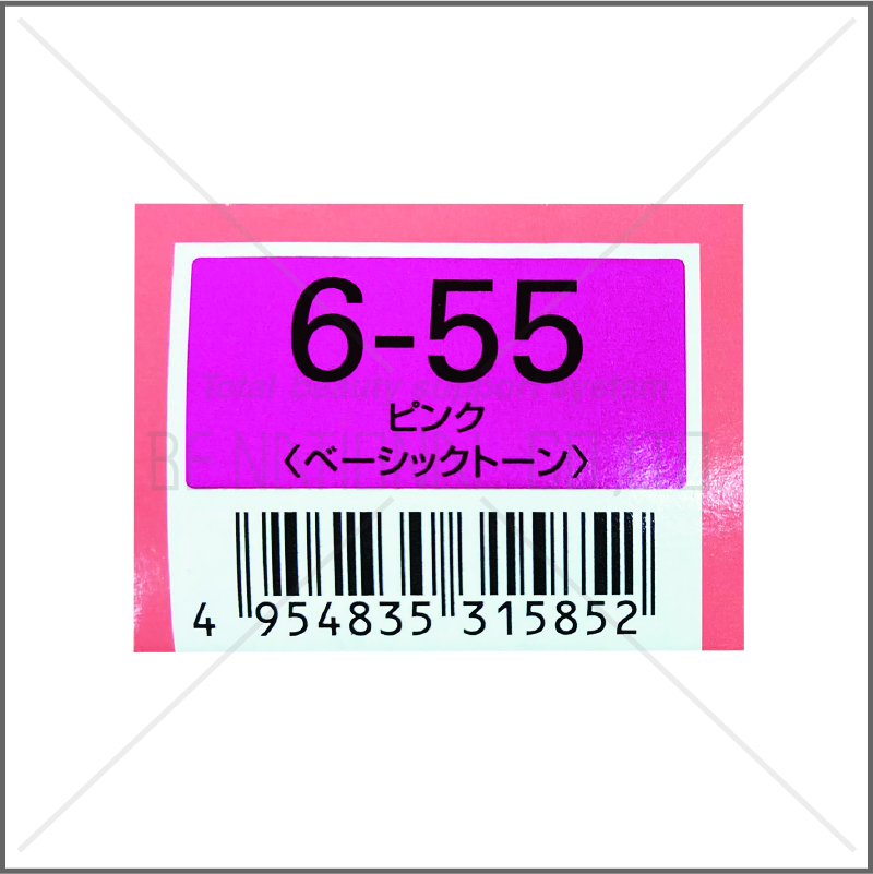 オルディーブ 6-55