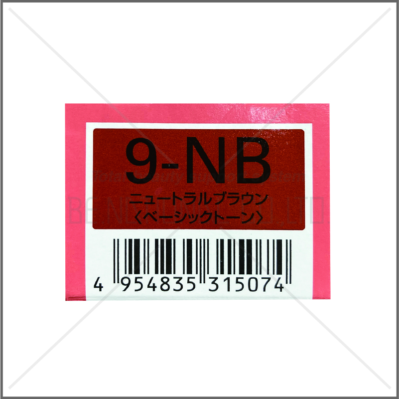 オルディーブ 9-NB