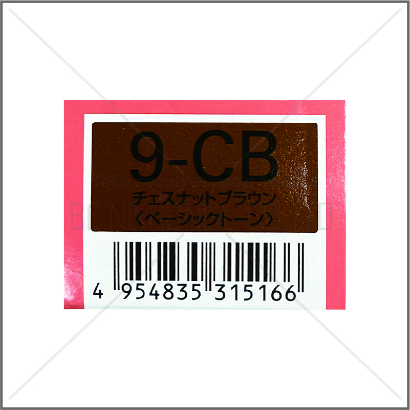 オルディーブ 9-CB