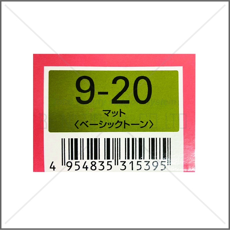 オルディーブ 9-20