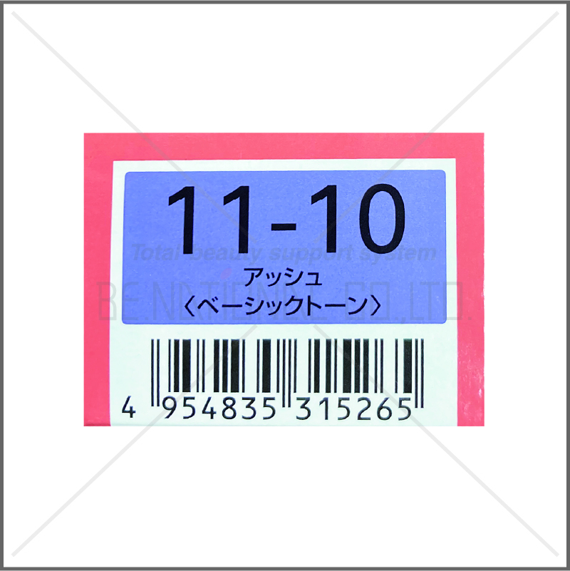 オルディーブ 11-10