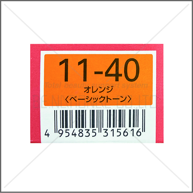 オルディーブ 11-40