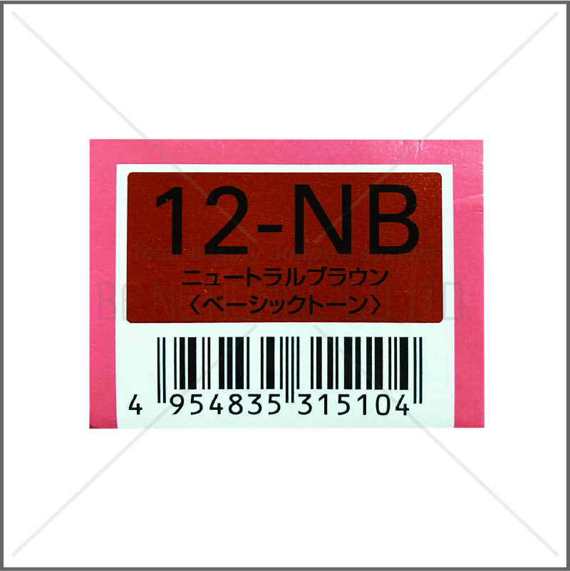 オルディーブ 12-NB