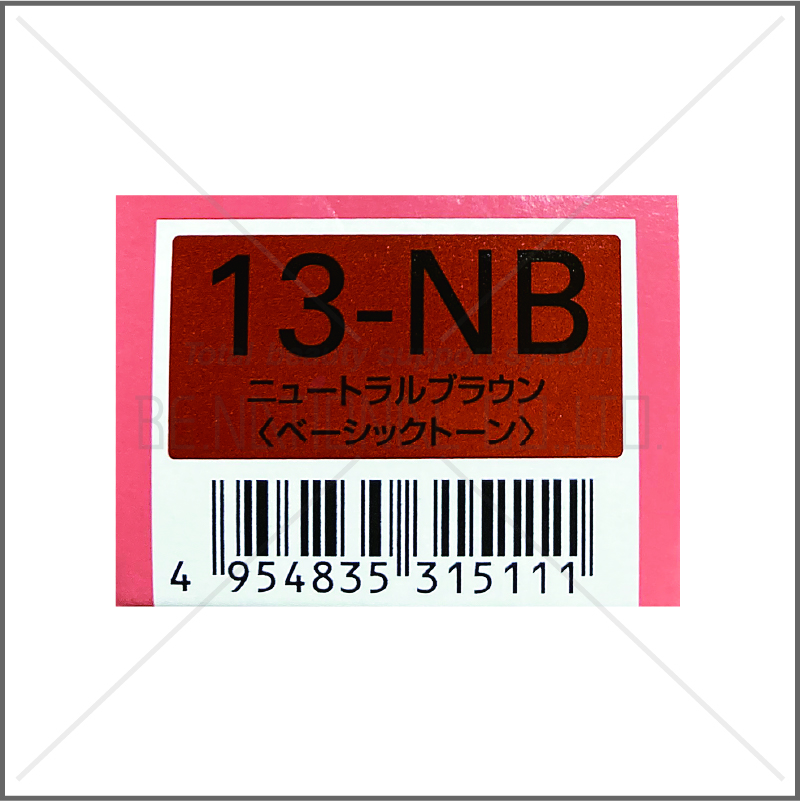 オルディーブ 13-NB