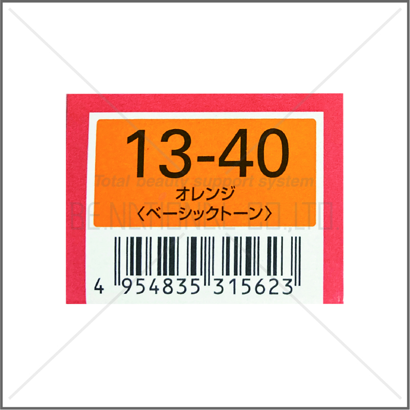 オルディーブ 13-40