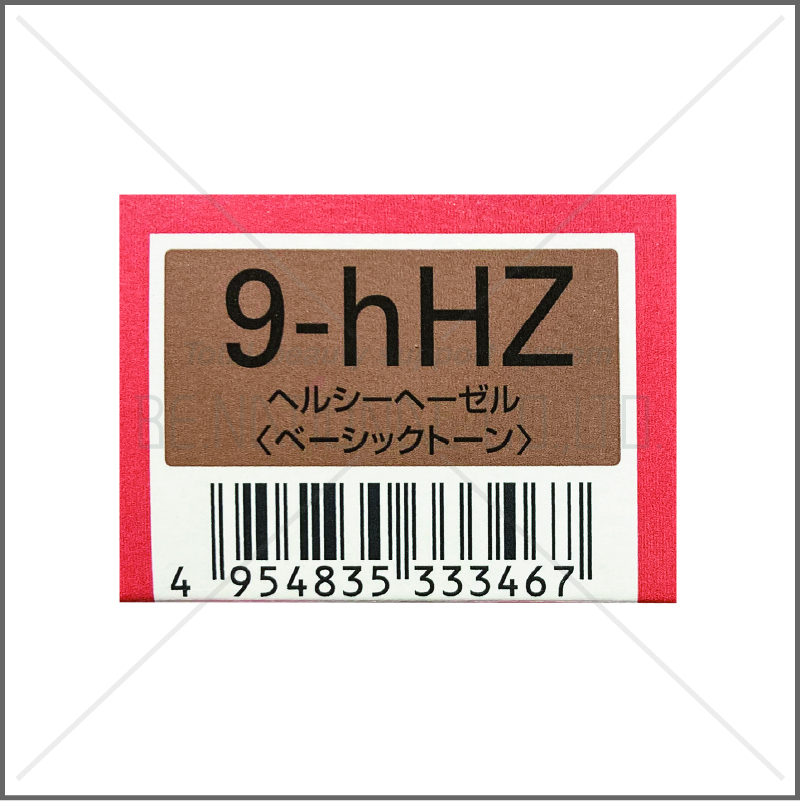 オルディーブ 9-hHZ